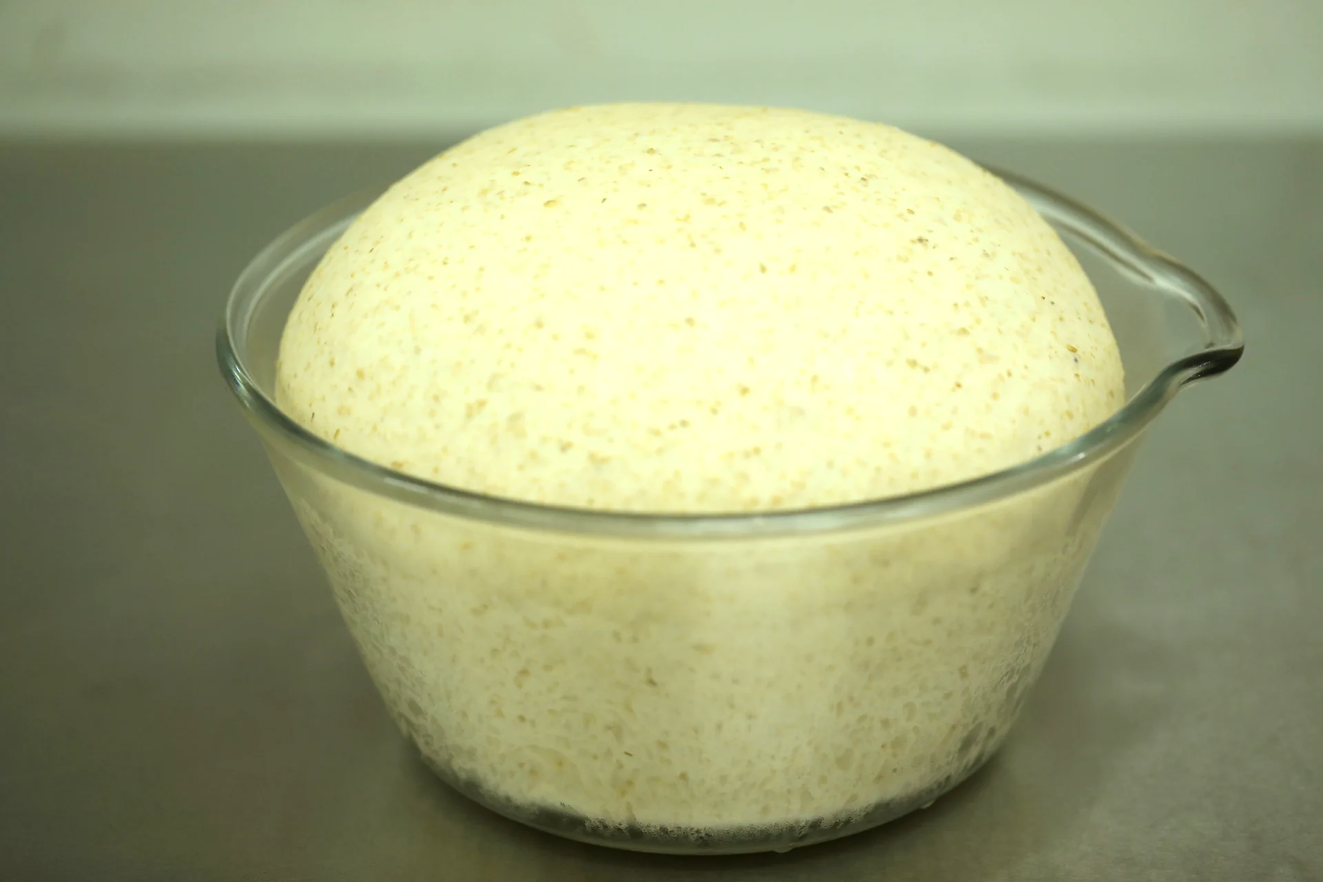«Pequeños Jiu Jiu» de trigo integral de la familia «Jiu Jiu» - Step 3