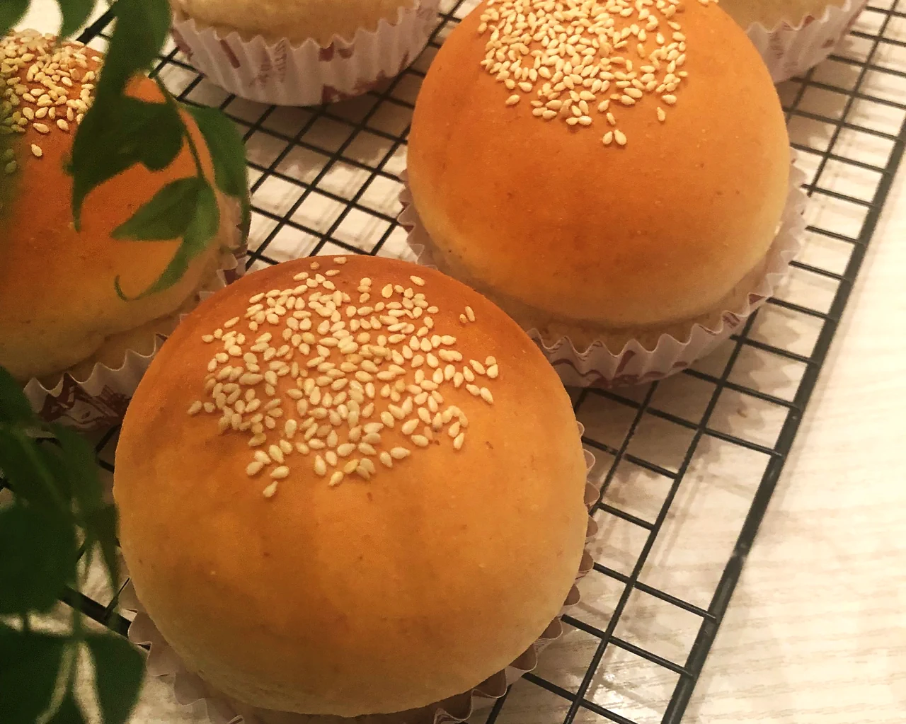 全麦汉堡胚（一次发酵）的成品展示图