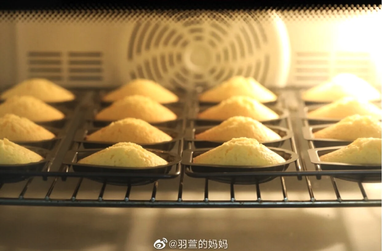 Madeleines con vainilla y limón - Step 9
