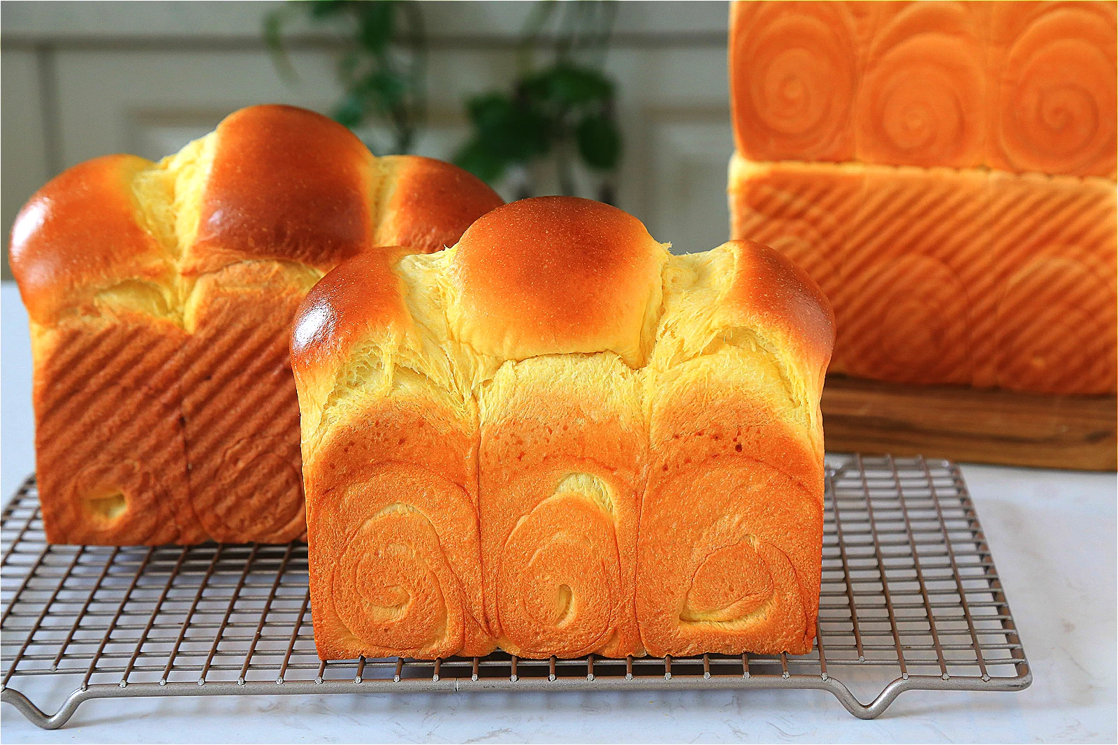 Pan de molde con calabaza y leche condensada azucarada - Step 29