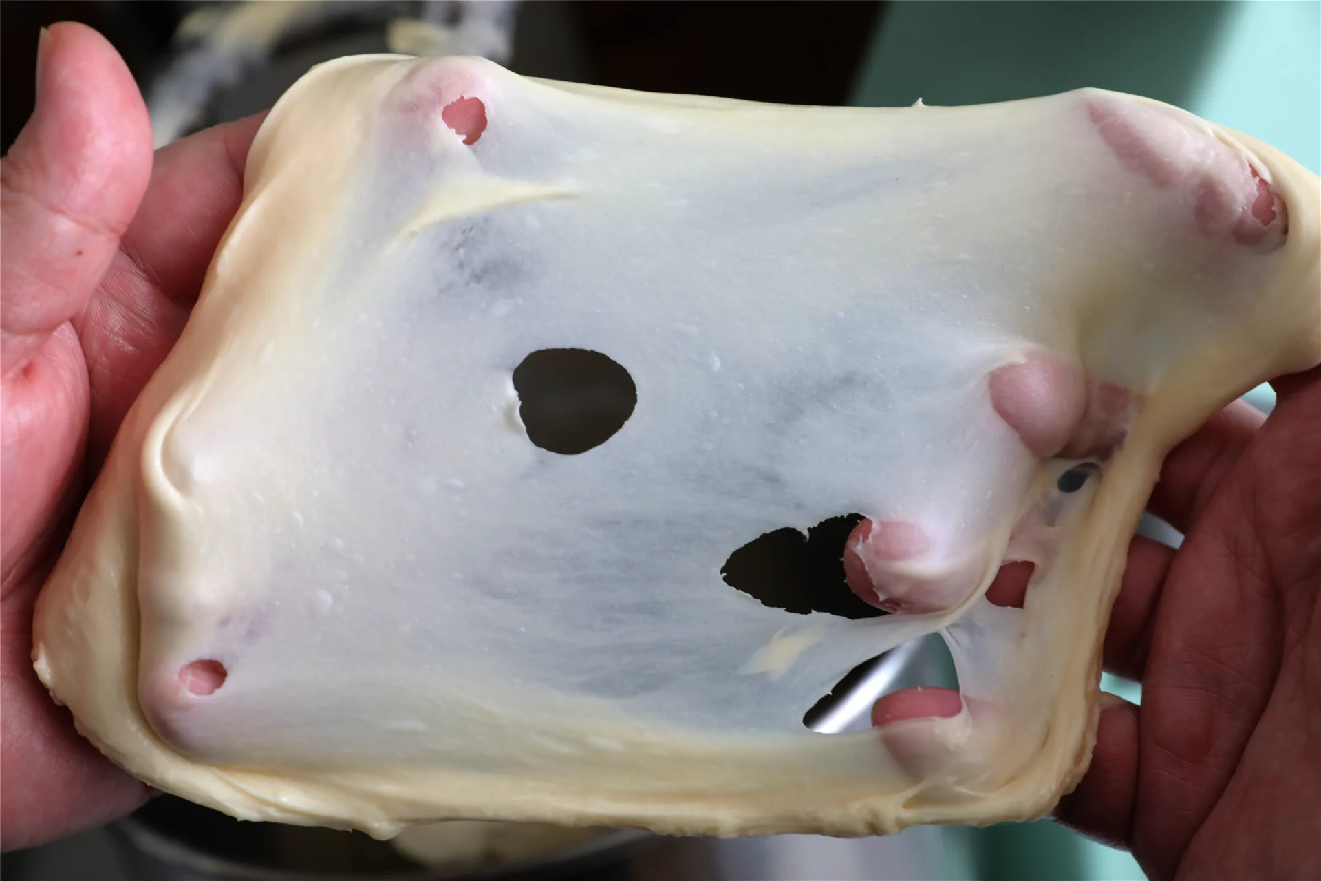 Alegría veraniega de Alien du Pain – Pan helado - Step 5