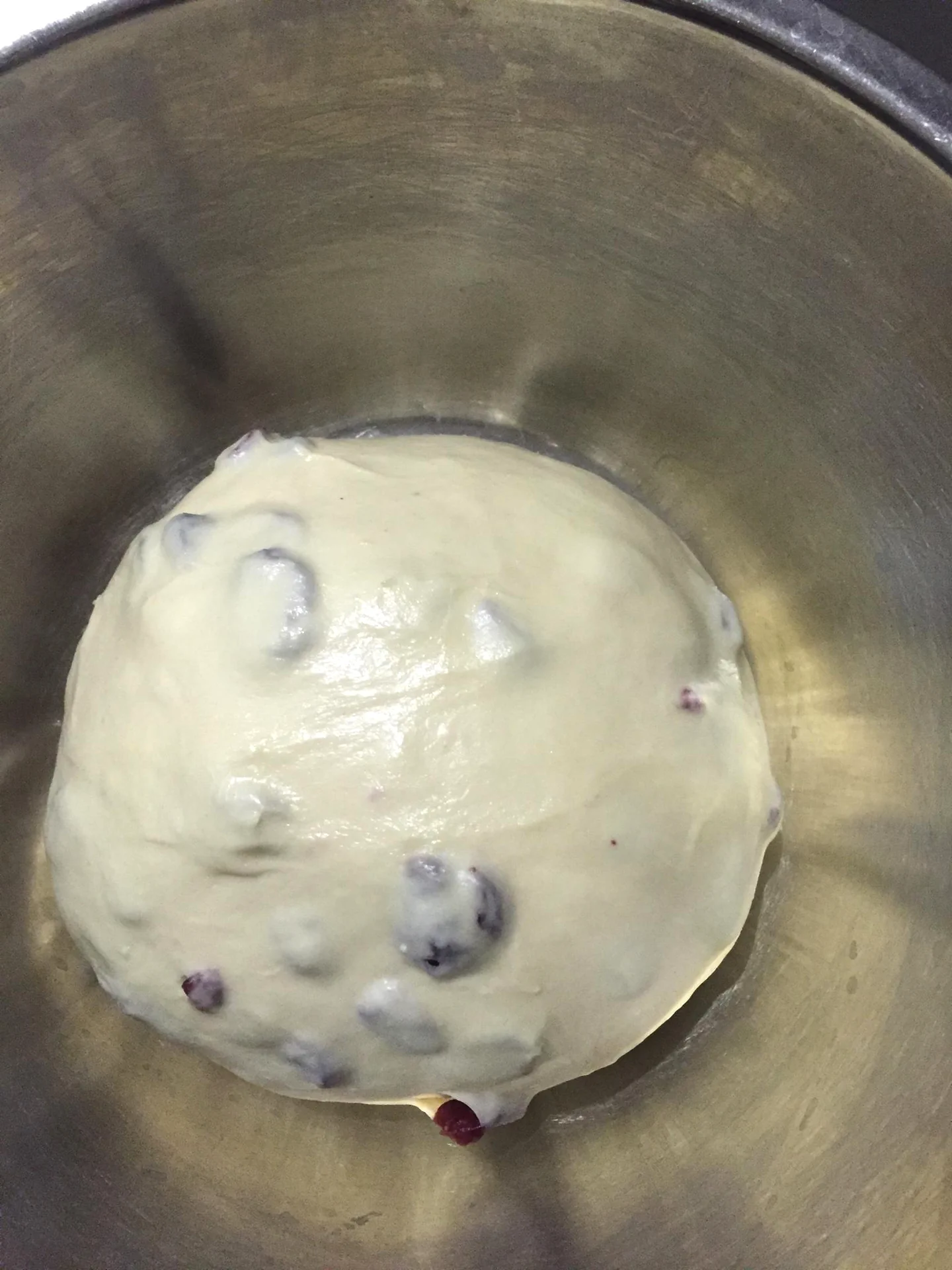 Pan de molde con yogur y arándanos rojos deshidratados – fermentación en frío - Step 1