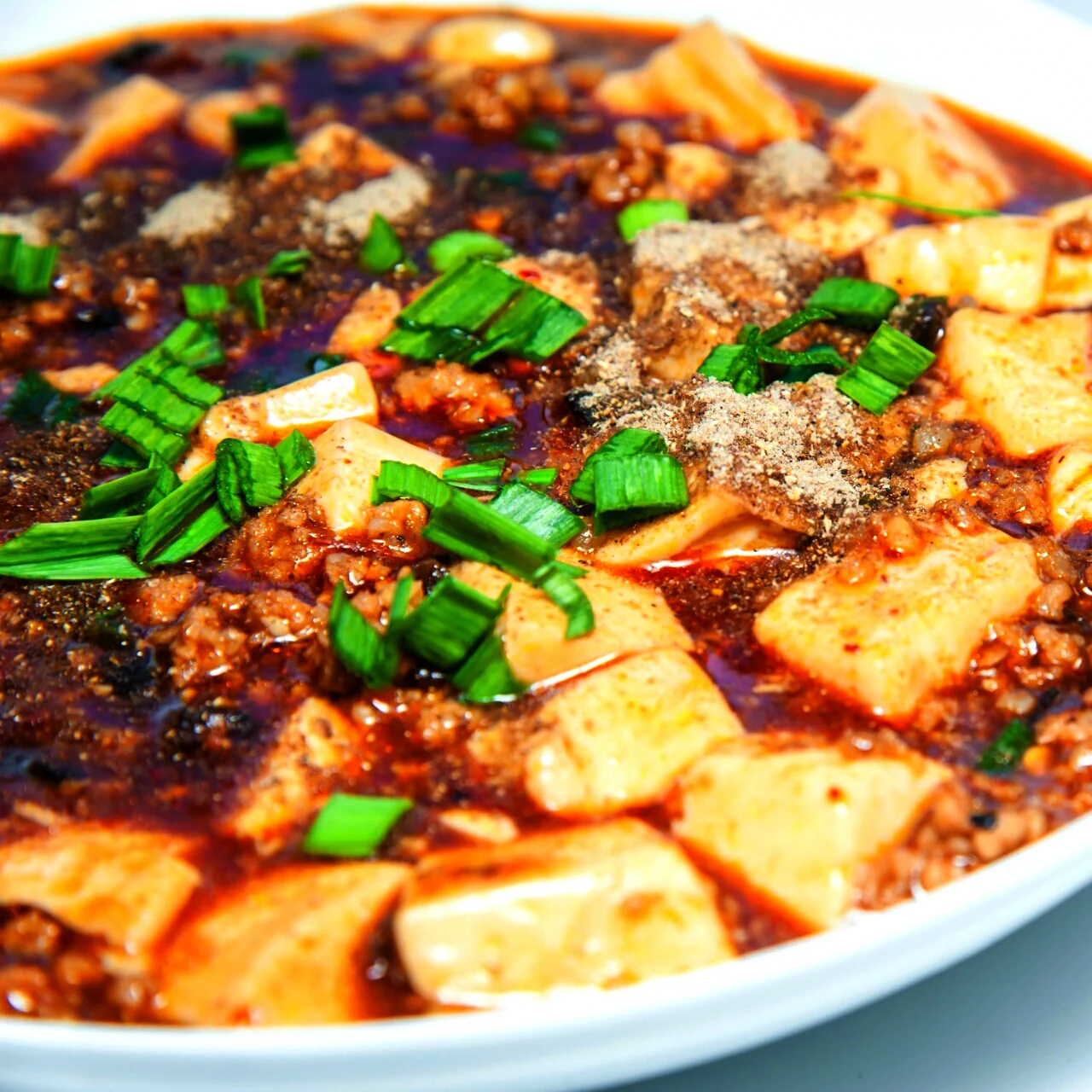 Foto del plato terminado de Mapo Tofu [Armonía de los Cinco Sabores]