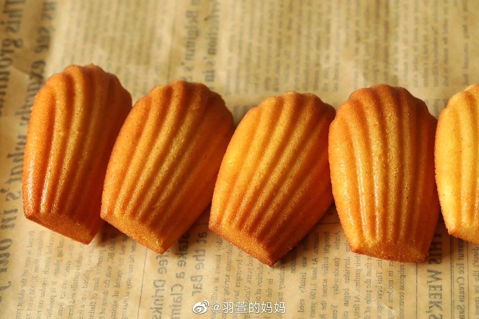 Madeleines con vainilla y limón - Step 11