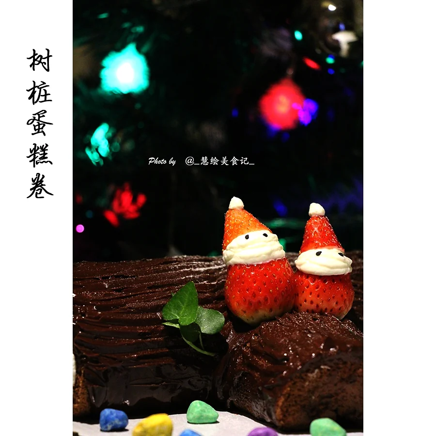 Photo du plat fini de Bûche de Noël