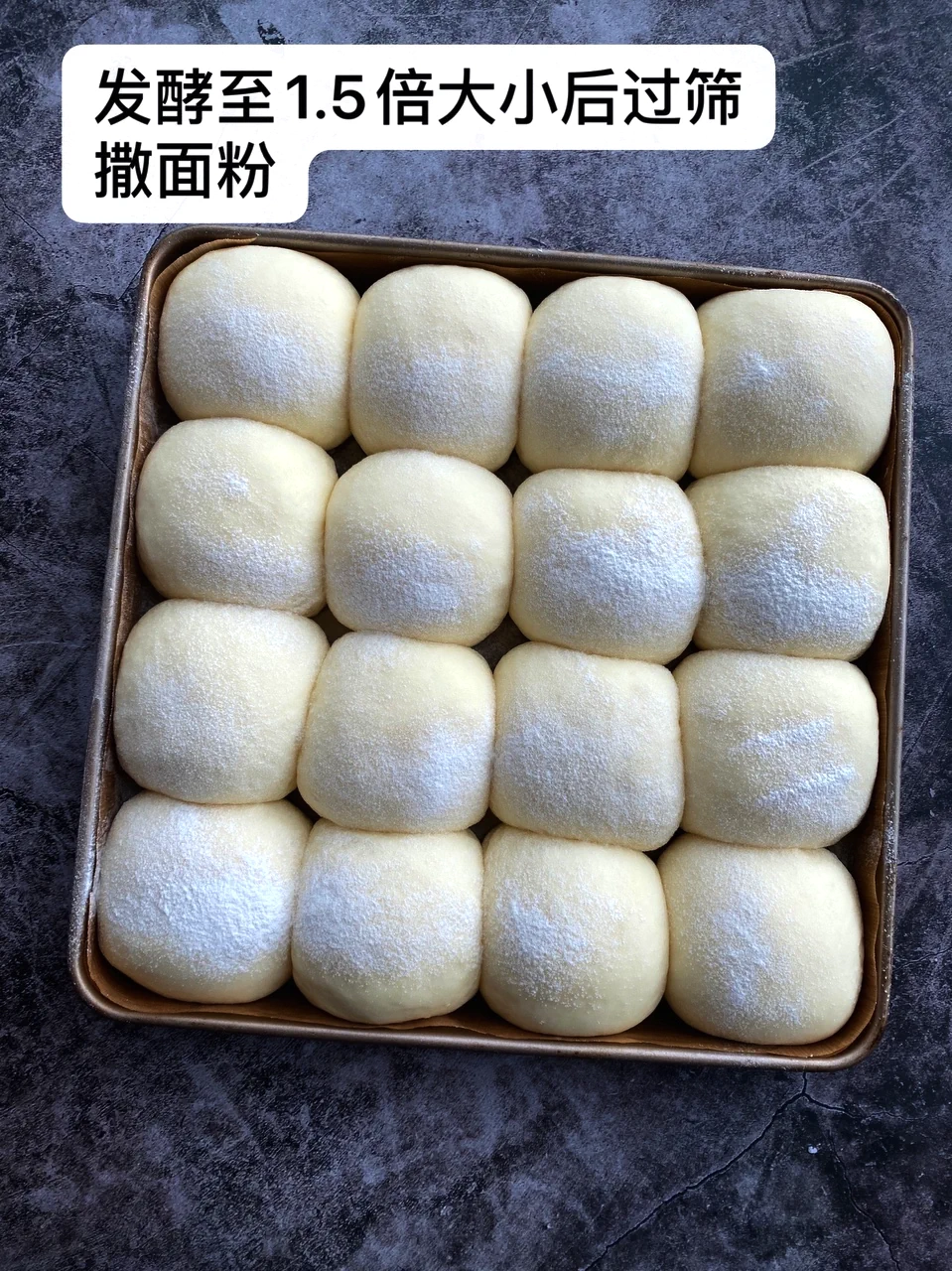 undefined 5