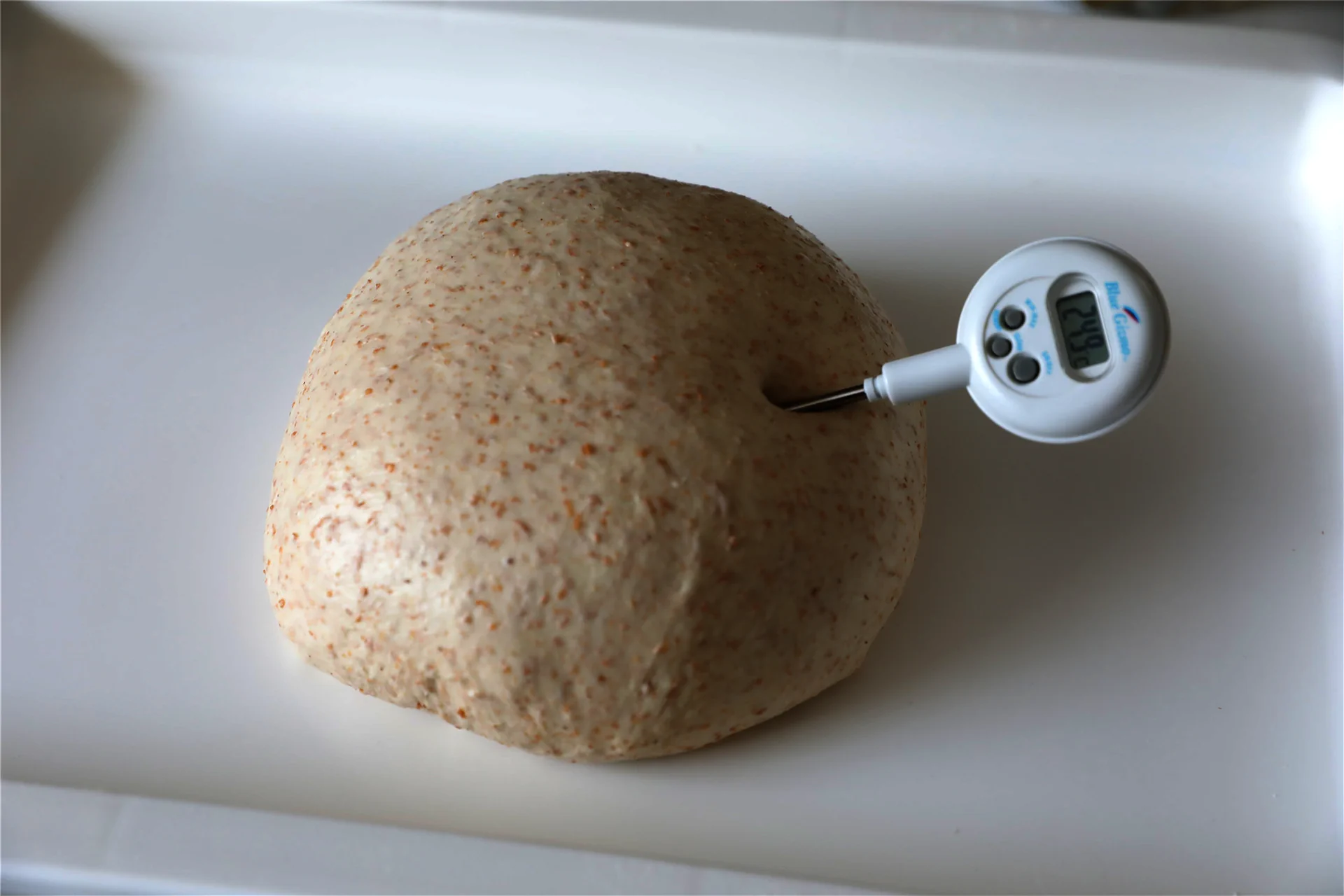 Pan integral rico en fibra - Step 6