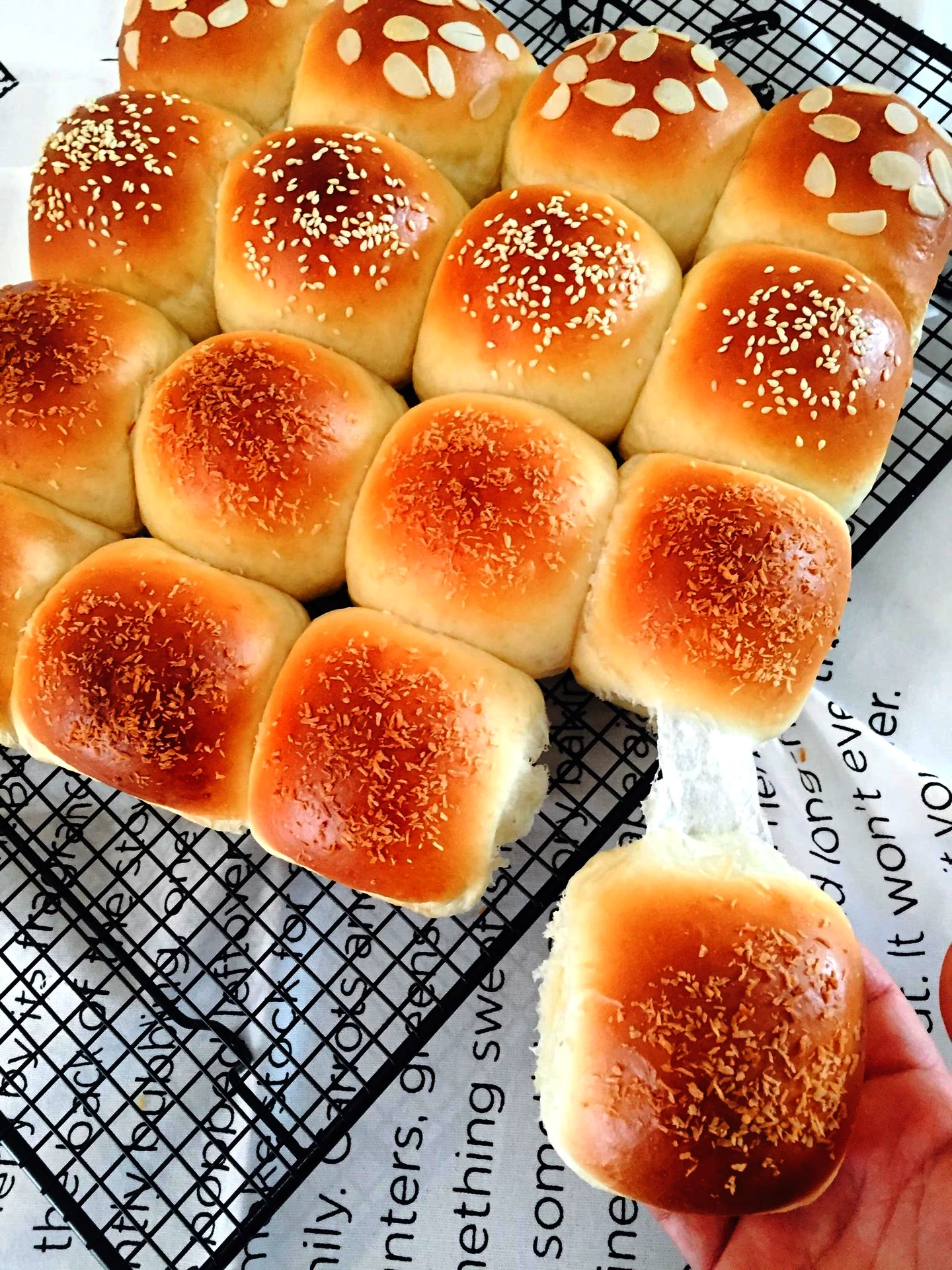 undefined 5