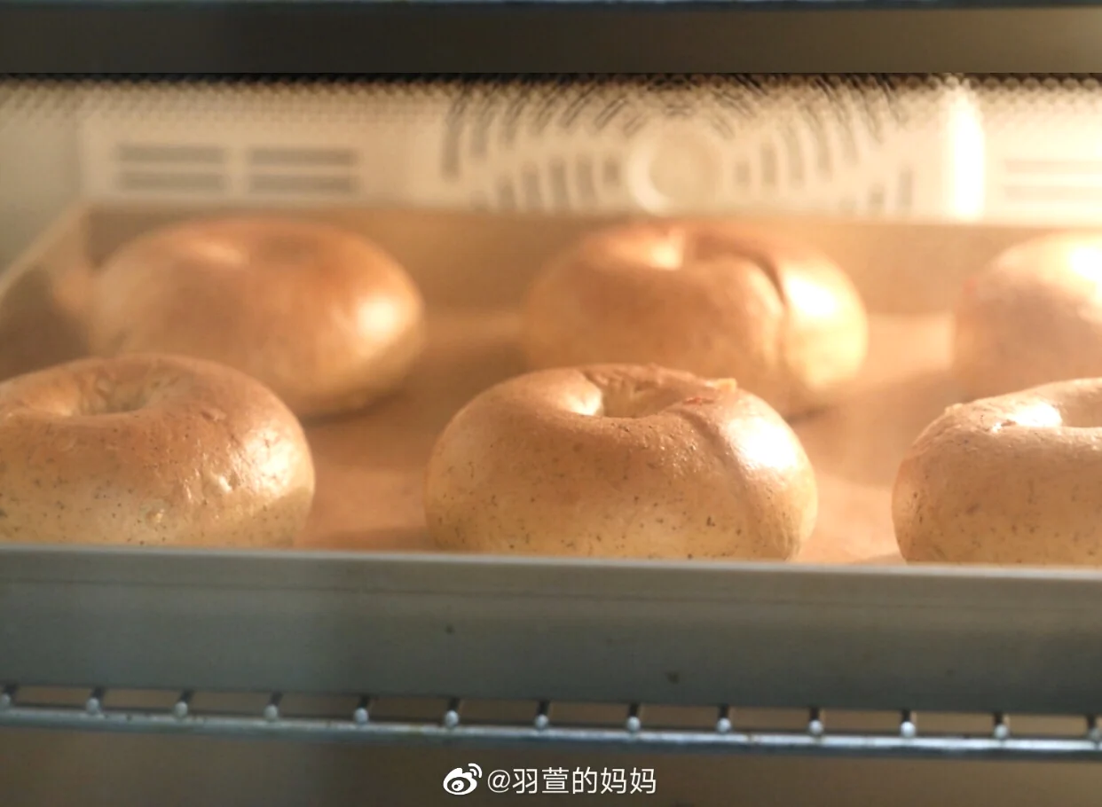 undefined 16
