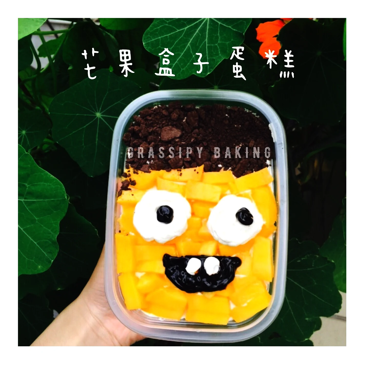 卡通水果盒子蛋糕的成品展示图