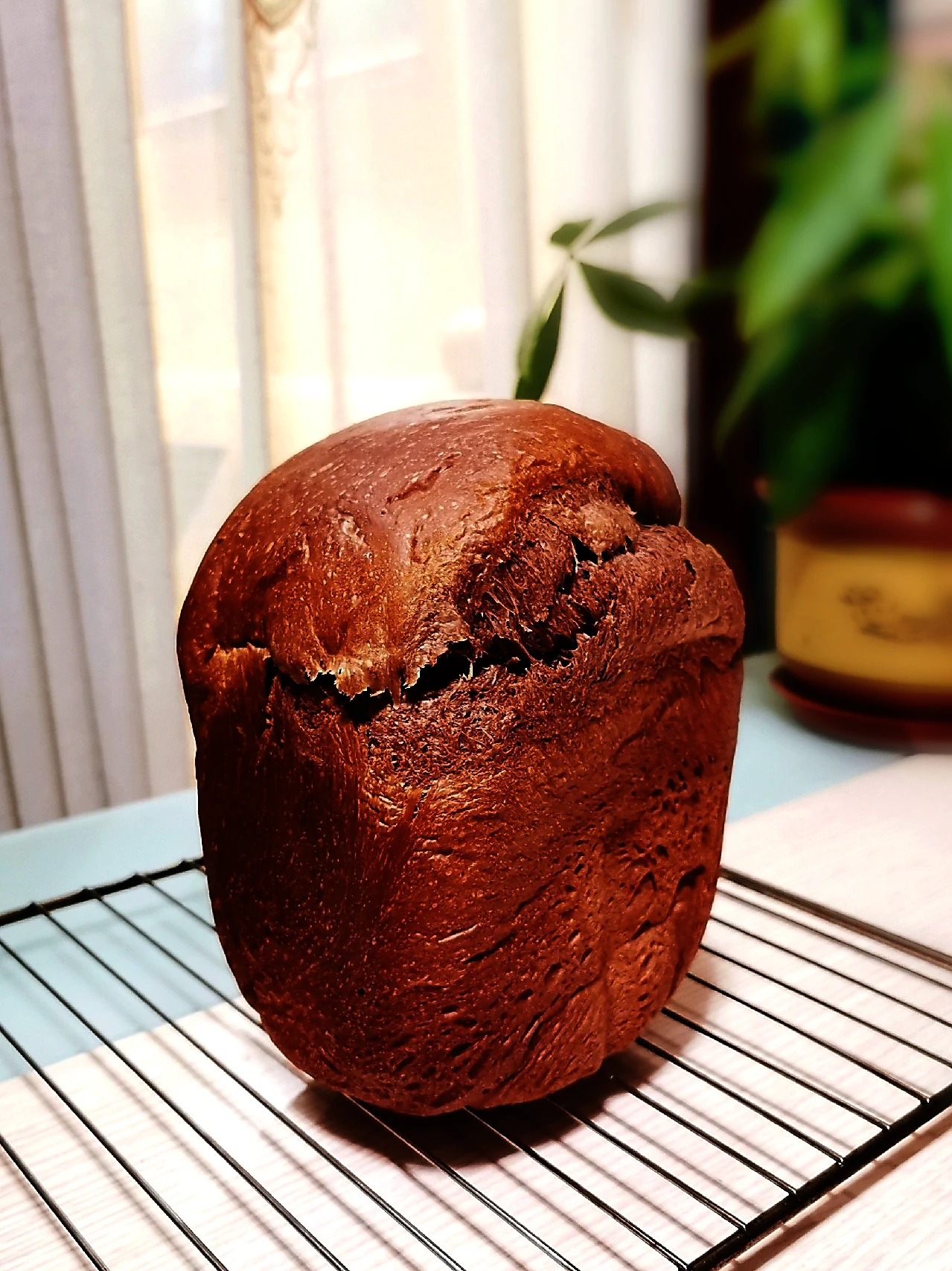 Finished dish photo of Chocolate Toast Made with Bread Machine