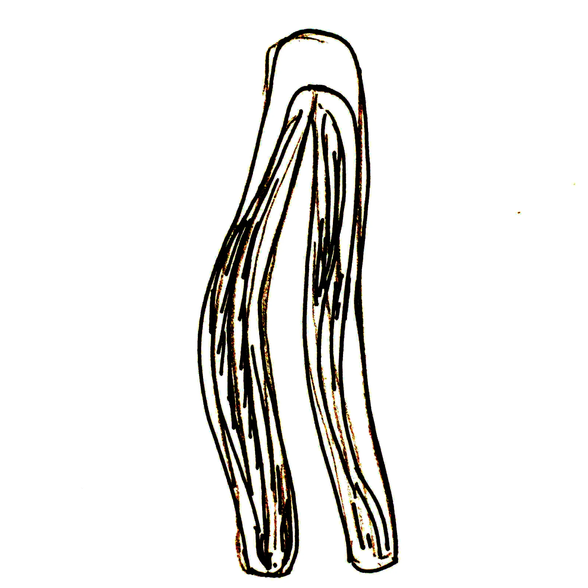 undefined 4