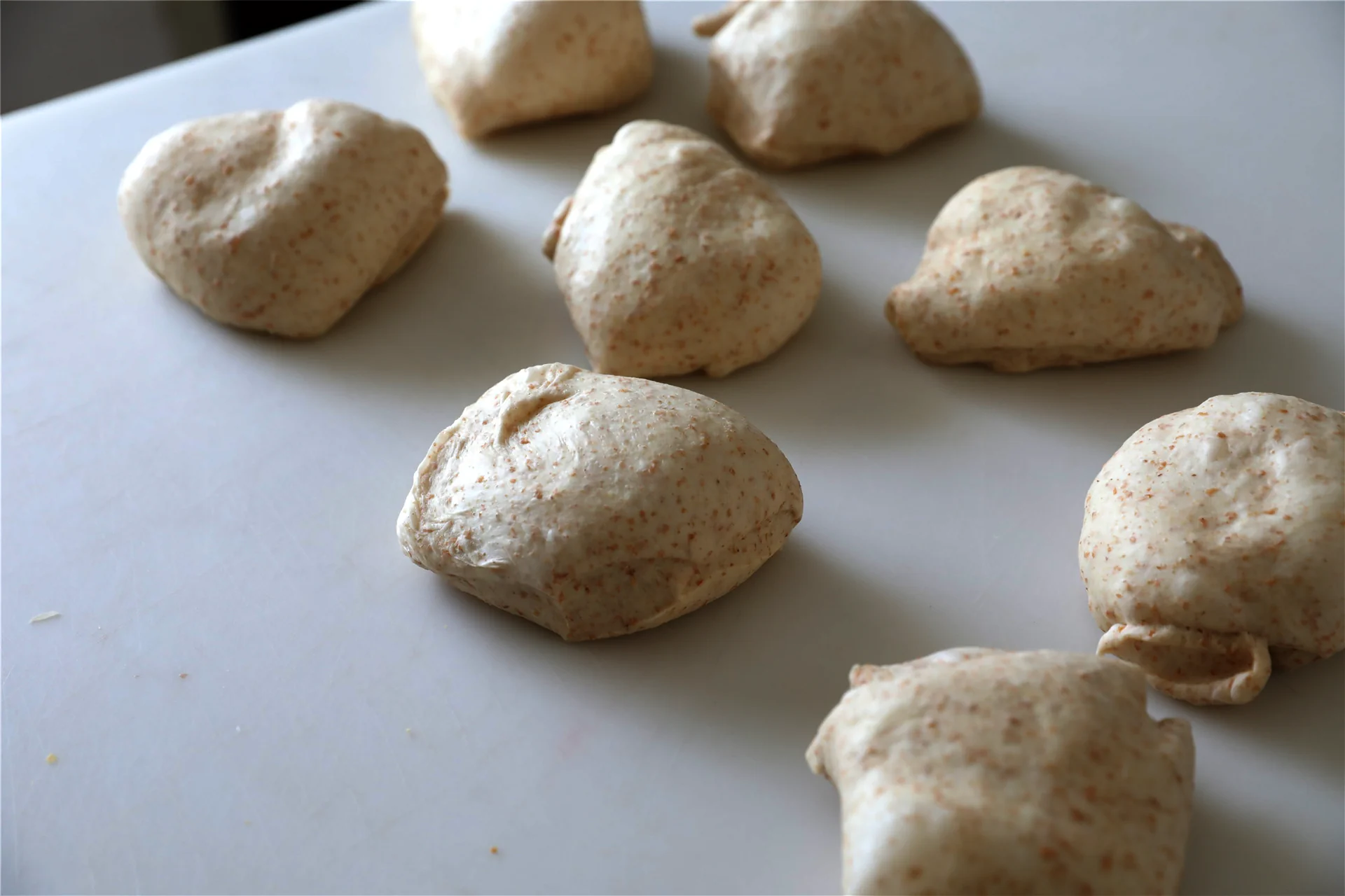 Pan integral rico en fibra - Step 8