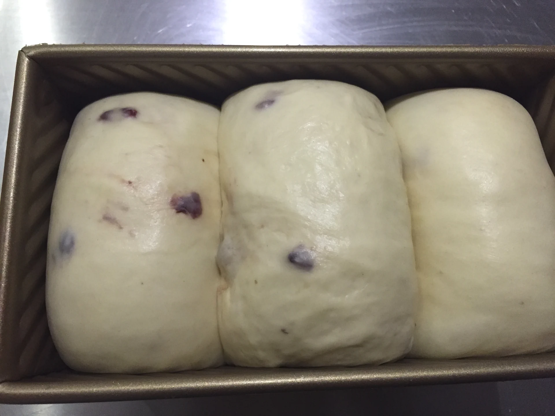 Pan de molde con yogur y arándanos rojos deshidratados – fermentación en frío - Step 9