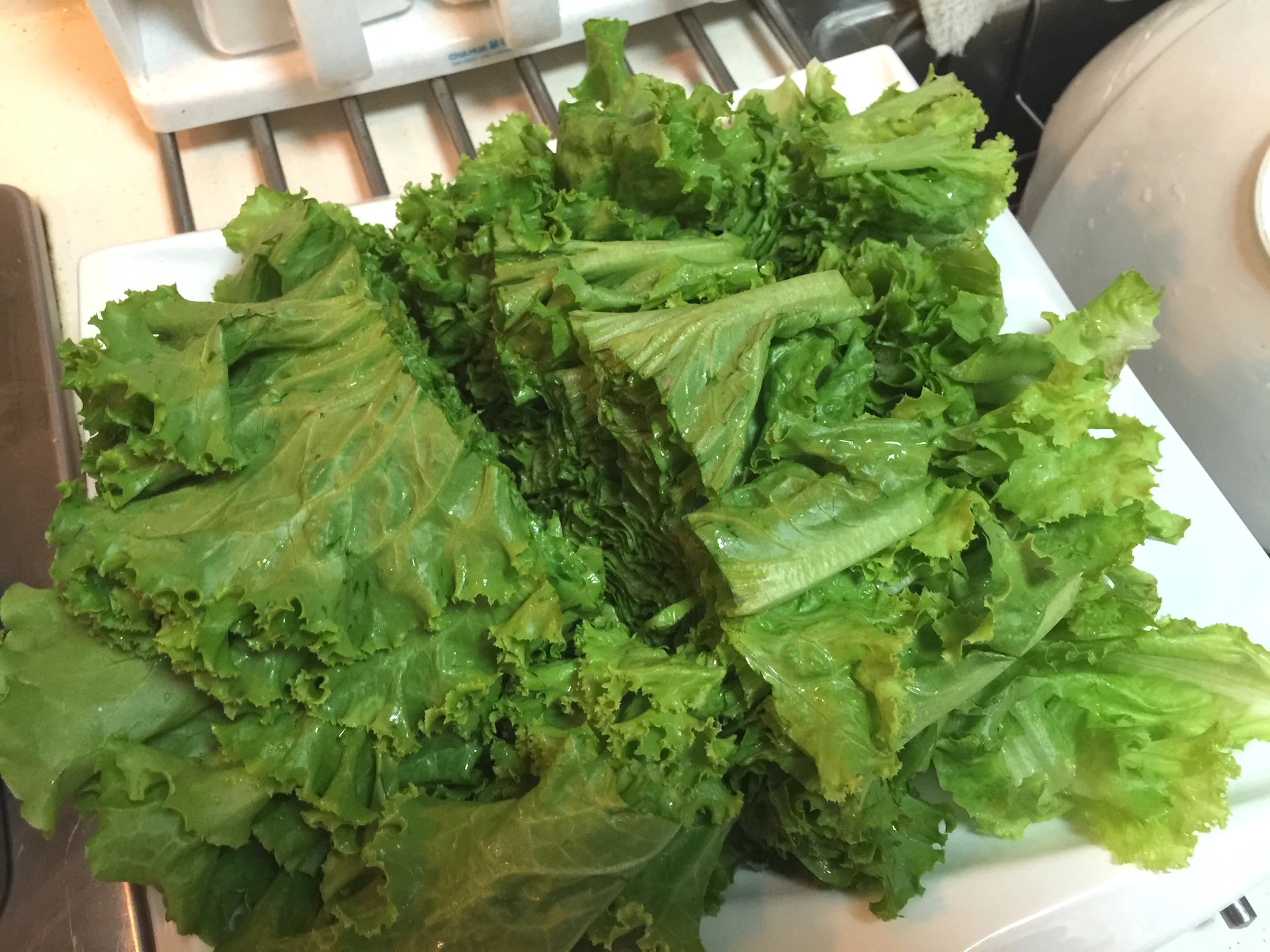 Lechuga salteada con gambas secas del hermano mayor Datou - Step 3