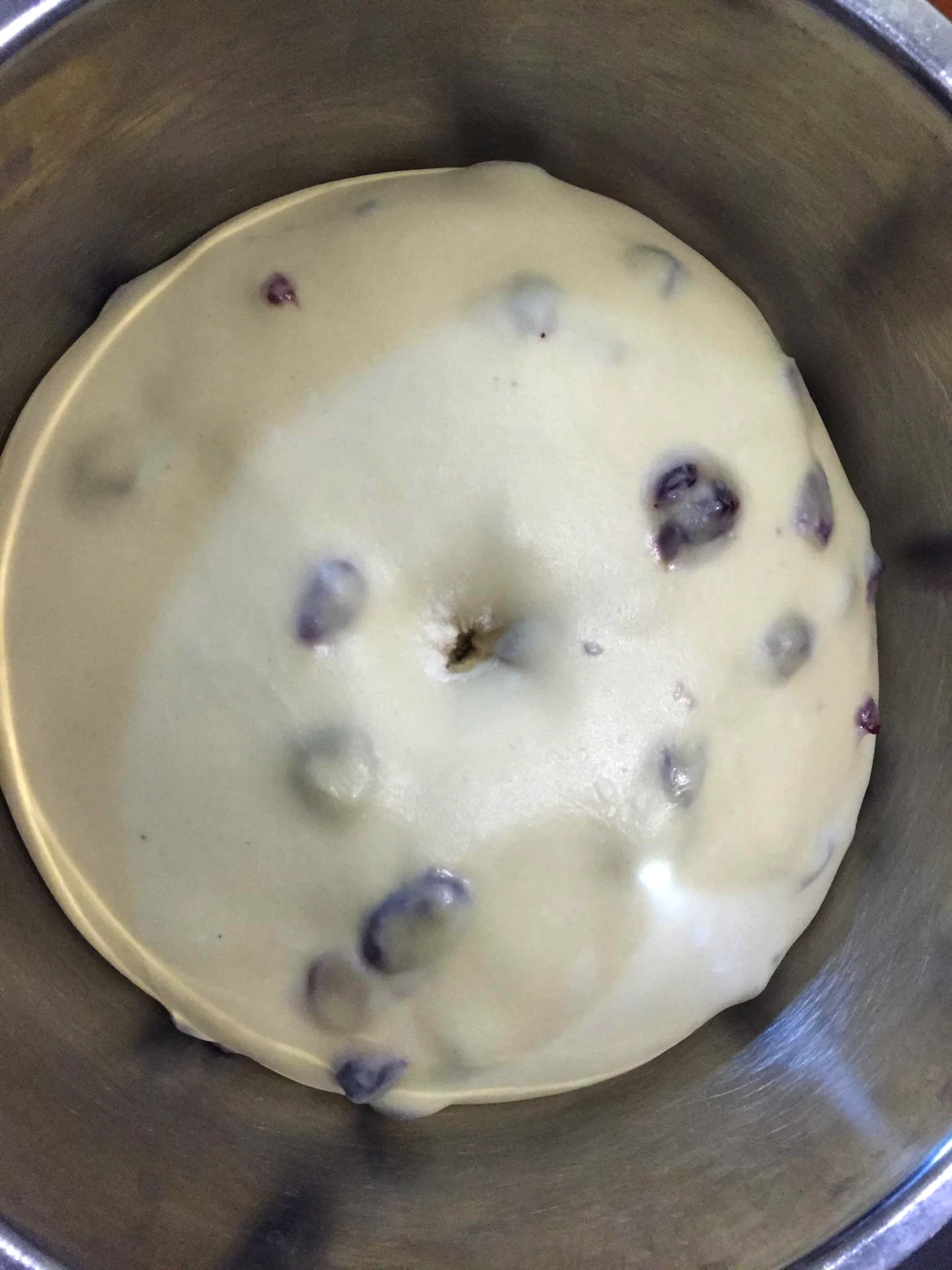 Pan de molde con yogur y arándanos rojos deshidratados – fermentación en frío - Step 2