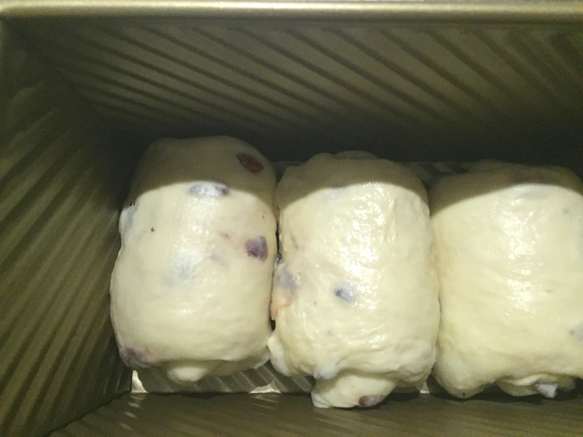 Pan de molde con yogur y arándanos rojos deshidratados – fermentación en frío - Step 8