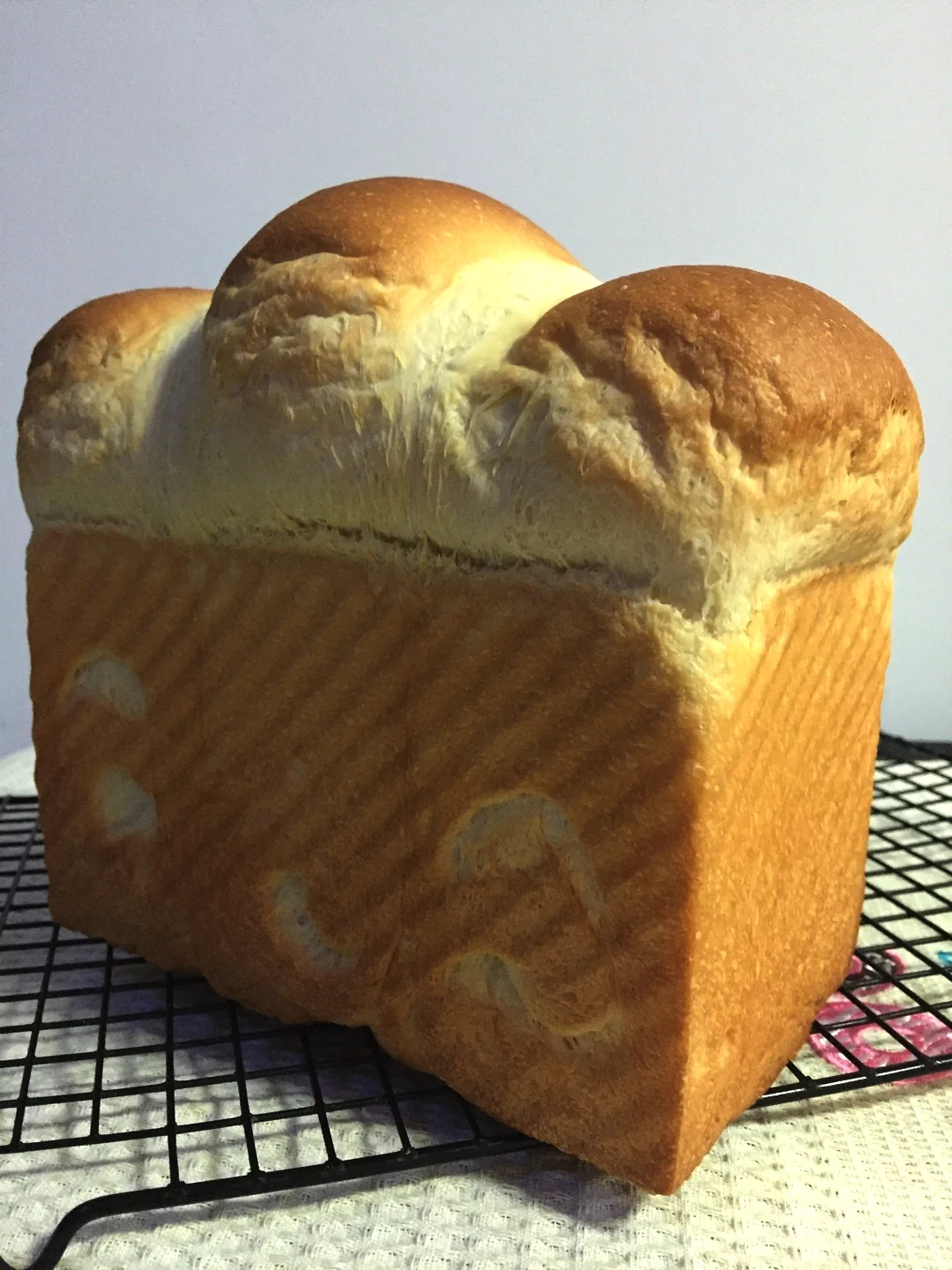 Pan de molde con yogur y arándanos rojos deshidratados – fermentación en frío - Step 14
