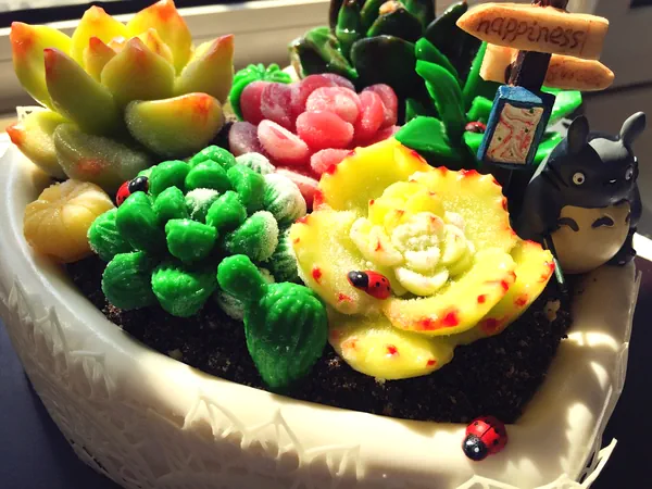 堂ママの多肉植物ケーキの完成品の写真