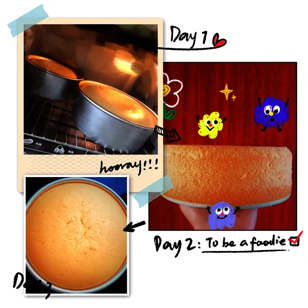 烤箱（电饭煲）通用8寸戚风蛋糕【步骤超详细】（超简单）的成品展示图