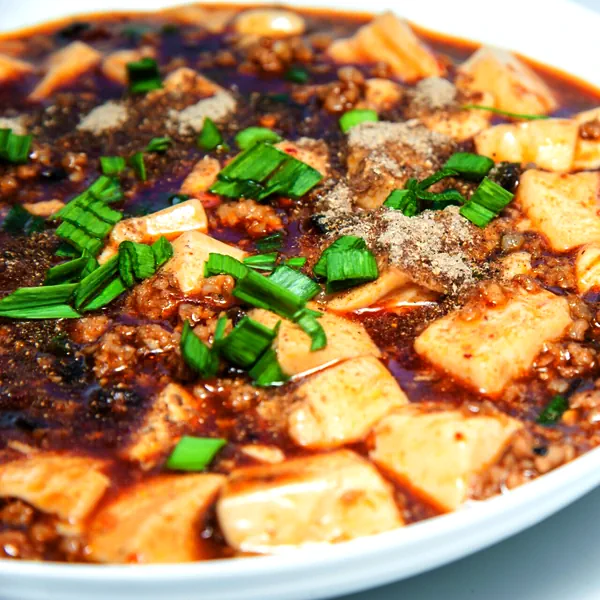 Foto del plato terminado de Mapo Tofu [Armonía de los Cinco Sabores]